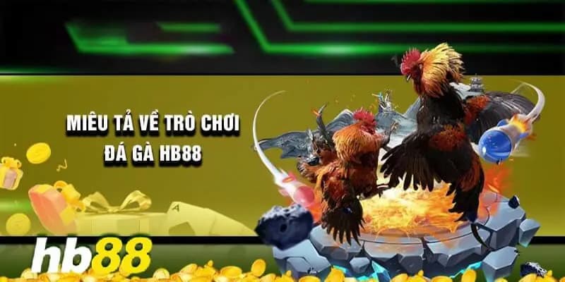 Giới thiệu về đá gà Hb88