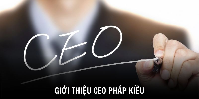 Giới thiệu về nhà sáng lập và lãnh đạo HB88 CEO Pháp Kiều